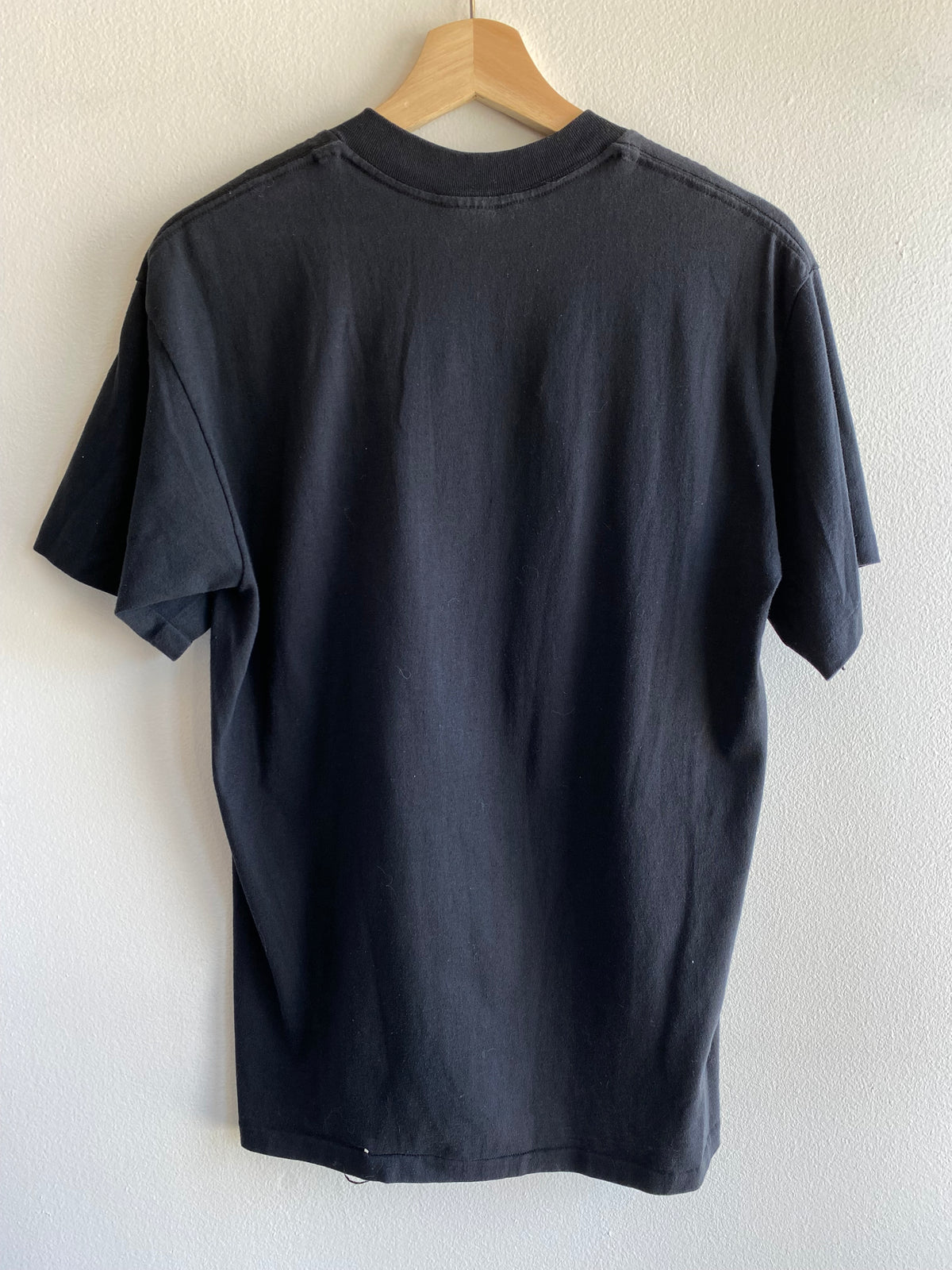 Vintage 1990's Snowy Mountain Lion T-Shirt