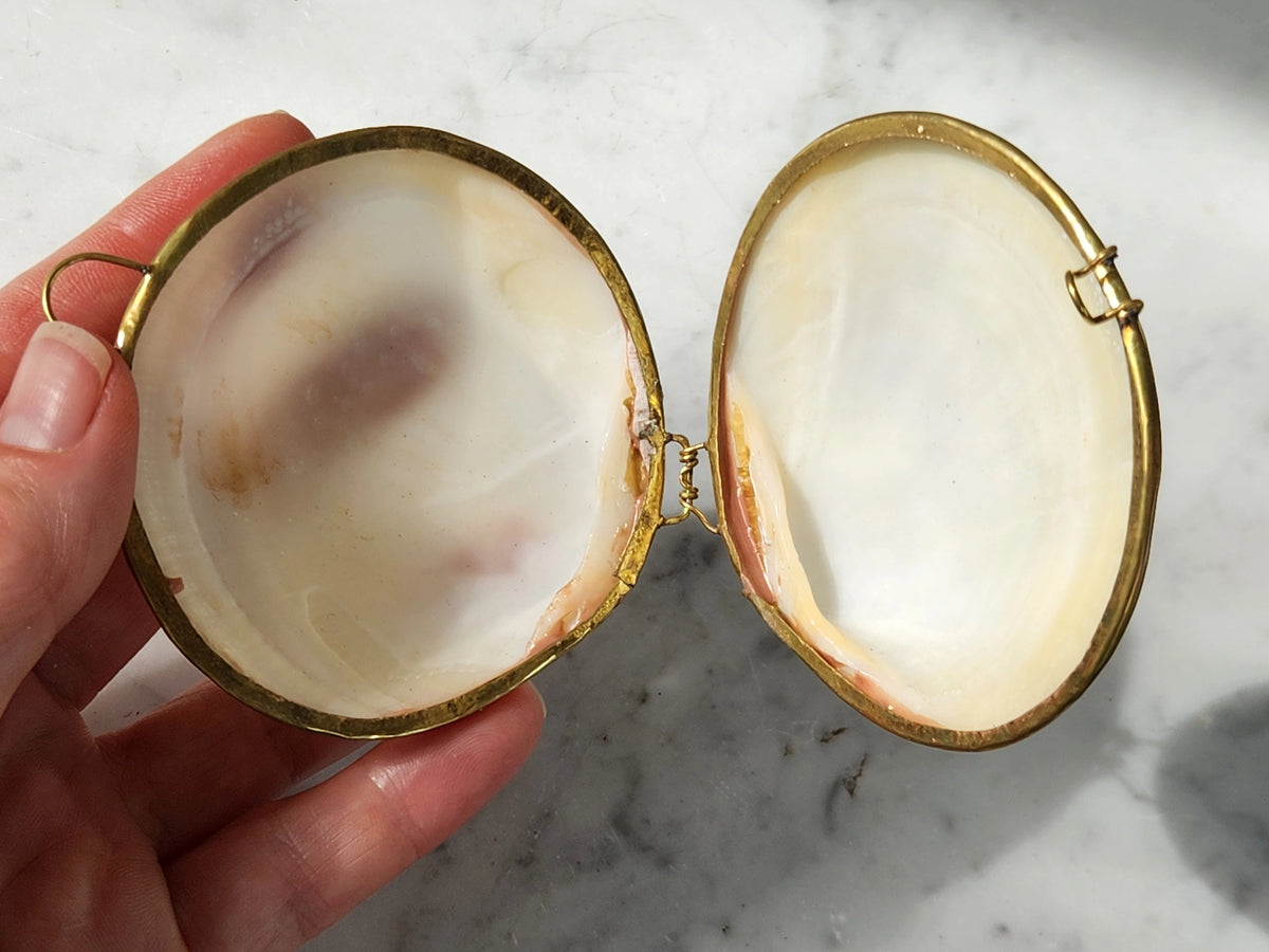 Shell Trinket - Coin Purse, Pill Box, Jewelry Holder - La Lovely Vintage