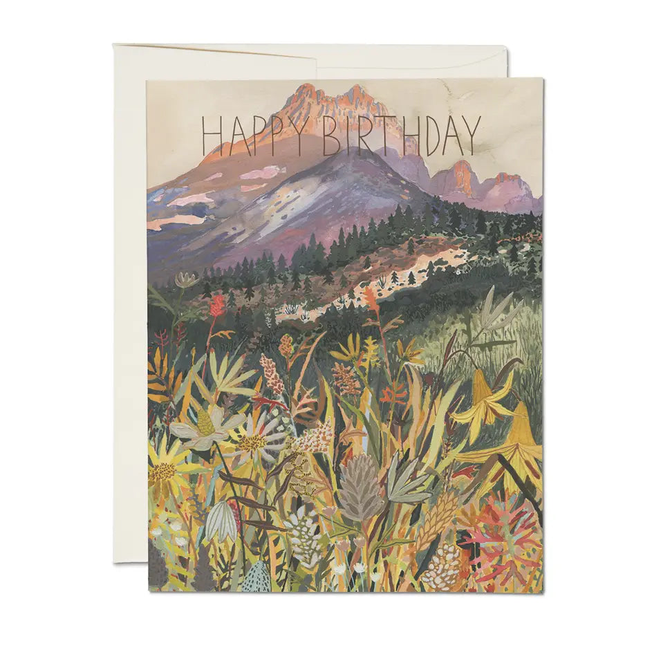 Red Cap Cards - La Lovely Vintage