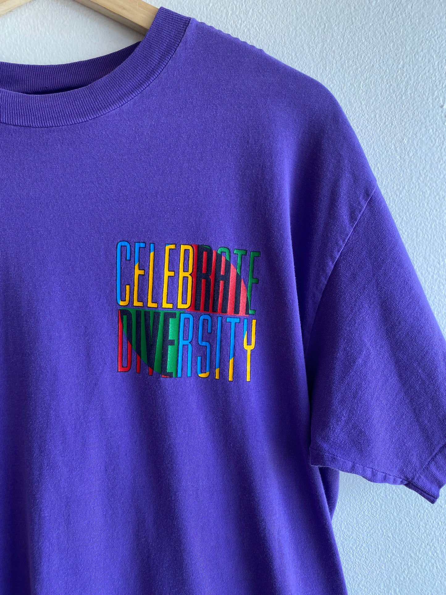 Vintage 1990’s “Celebrate Diversity” T-Shirt