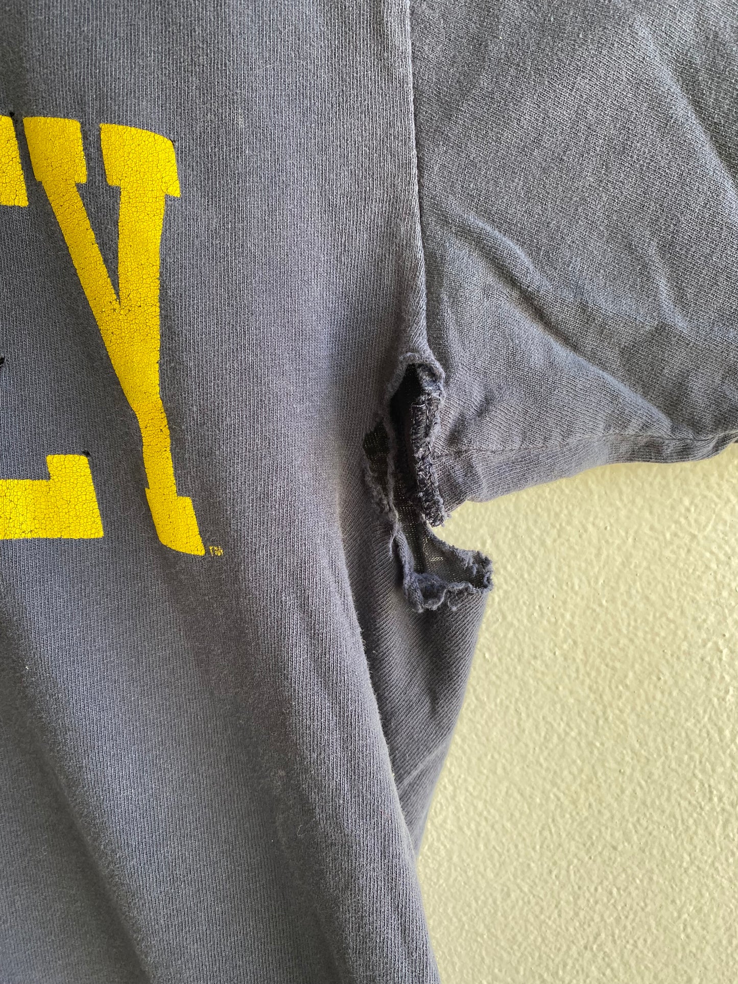 Vintage 1990’s Champion Berkeley Thrashed T-Shirt