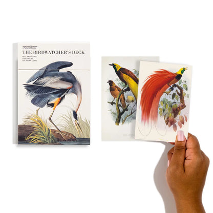 The Birdwatcher's Deck