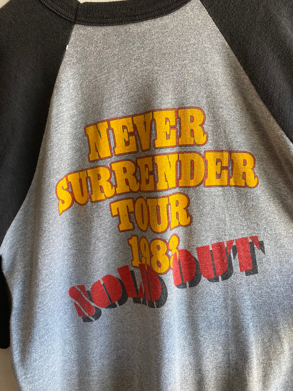 Vintage 1983 Triumph Raglan Sleeve Tour T-Shirt - La Lovely Vintage 
