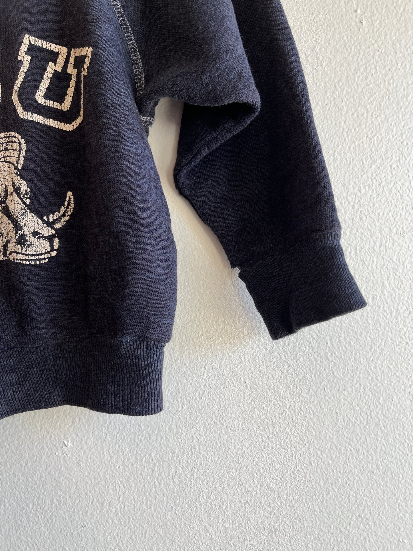 Vintage 1970’s Kids CSU Crewneck Sweatshirt