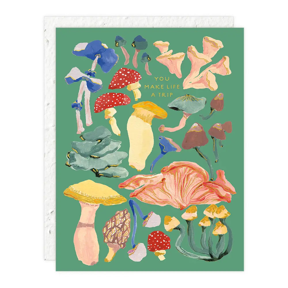 Seedlings Greeting Cards - La Lovely Vintage 