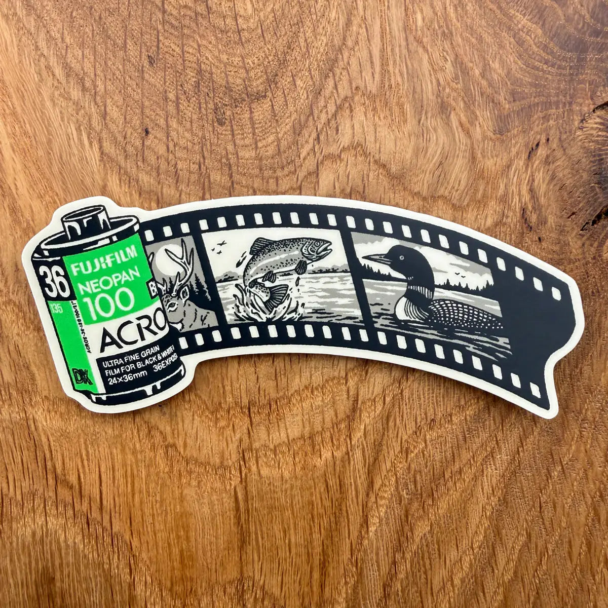 Steel Bison - Stickers