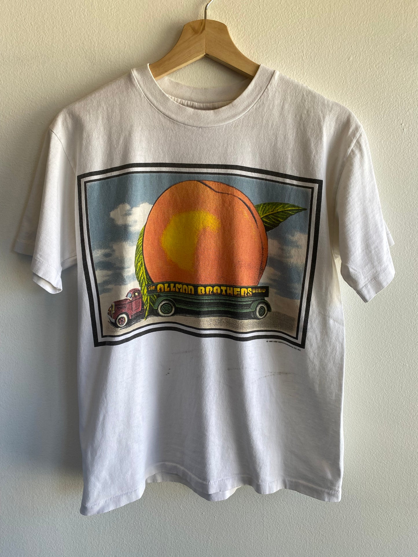 Vintage 1995 Allman Brothers T-Shirt