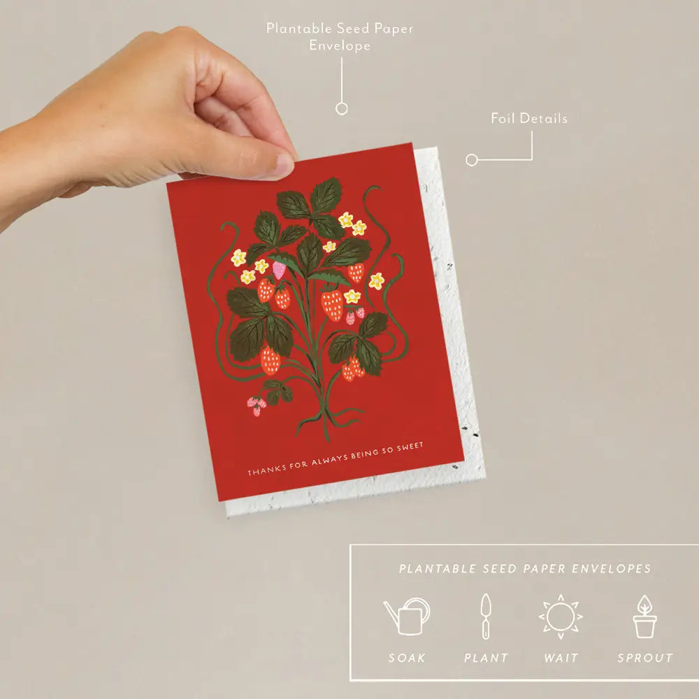 Seedlings Greeting Cards - La Lovely Vintage 
