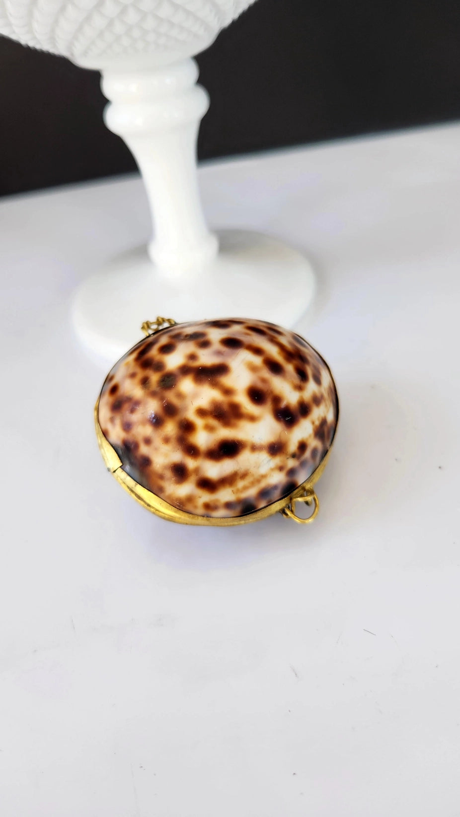 Shell Trinket - Coin Purse, Pill Box, Jewelry Holder - La Lovely Vintage 