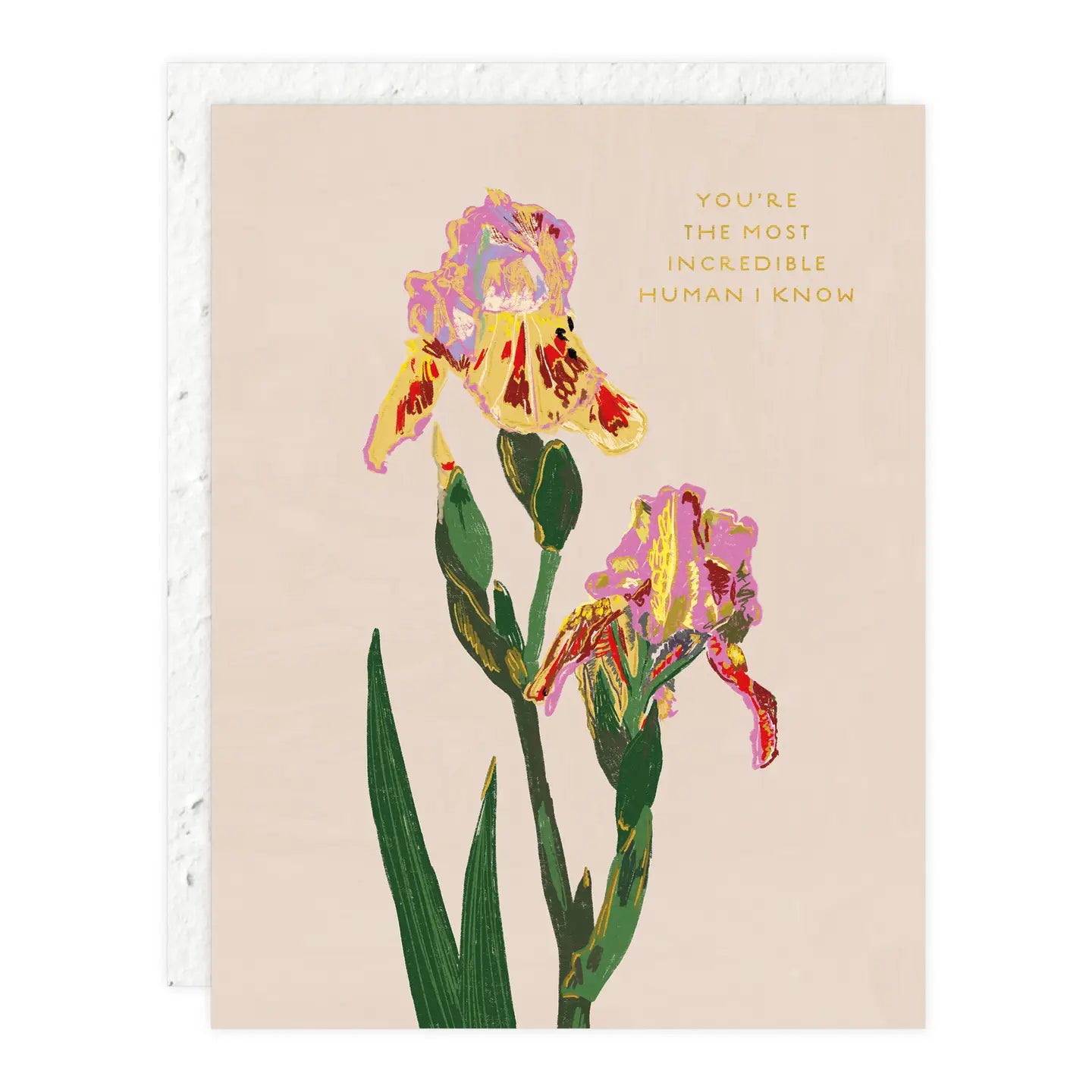 Seedlings Greeting Cards - La Lovely Vintage 