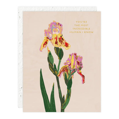 Seedlings Greeting Cards - La Lovely Vintage 