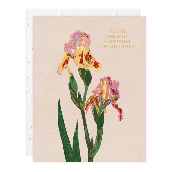Seedlings Greeting Cards