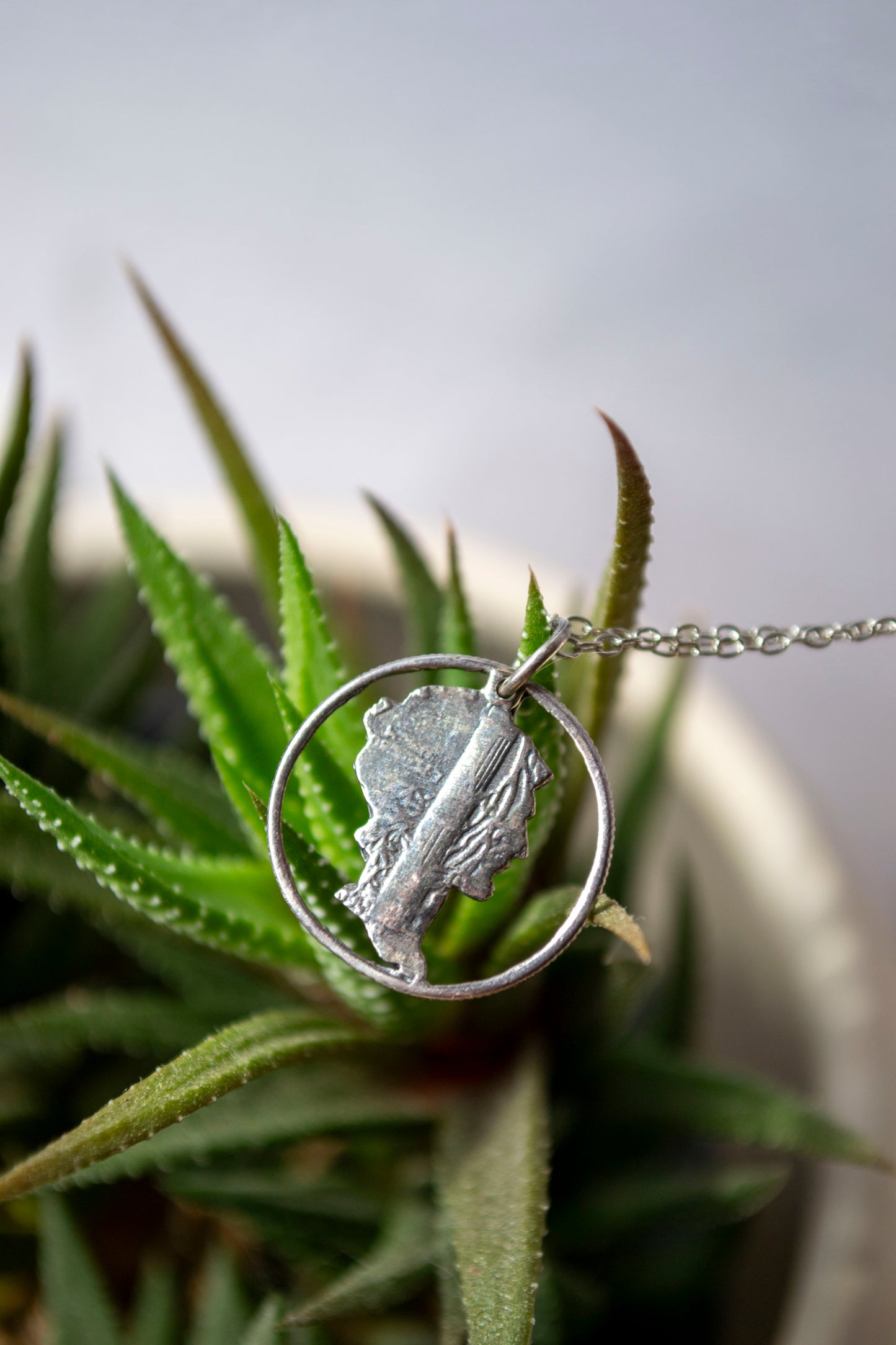 A silver necklace featuring a textured, organic-shaped head of Roman god Mercury pendant inside a circular ring, hanging from a delicate chain. The necklace is styled in front of a green succulent plant.