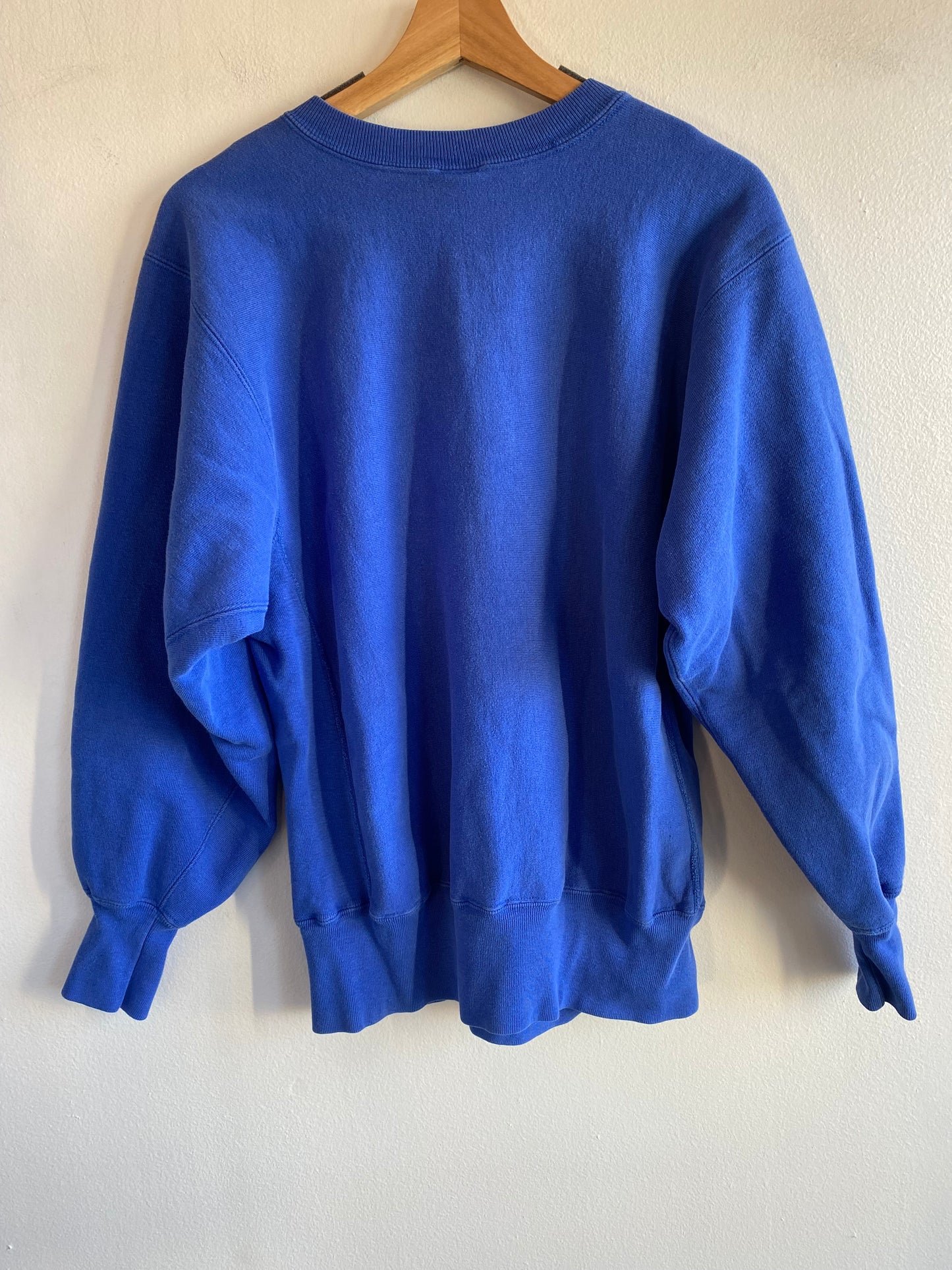 Vintage 1990’s Eastern Illinois University Champion Reverse Weave Sweatshirt