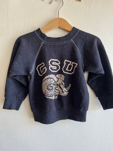 Vintage 1970’s Kids CSU Crewneck Sweatshirt