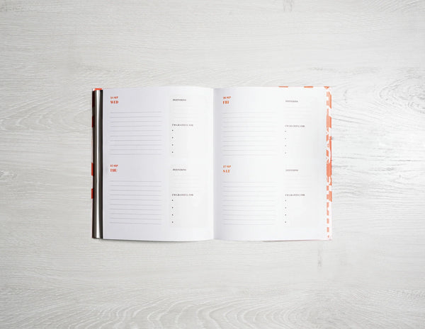 2025 Planner by Danica Gim