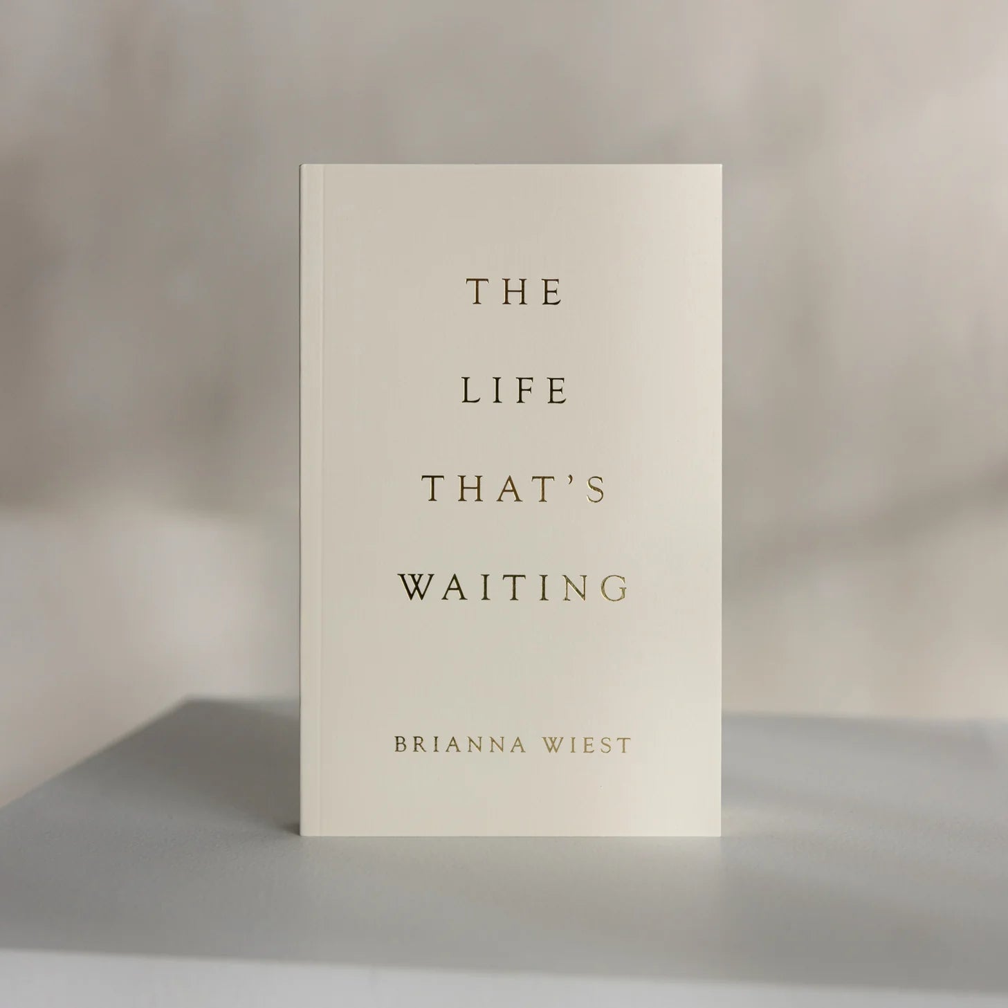 The Life That’s Waiting - Brianna Wiest - La Lovely Vintage 