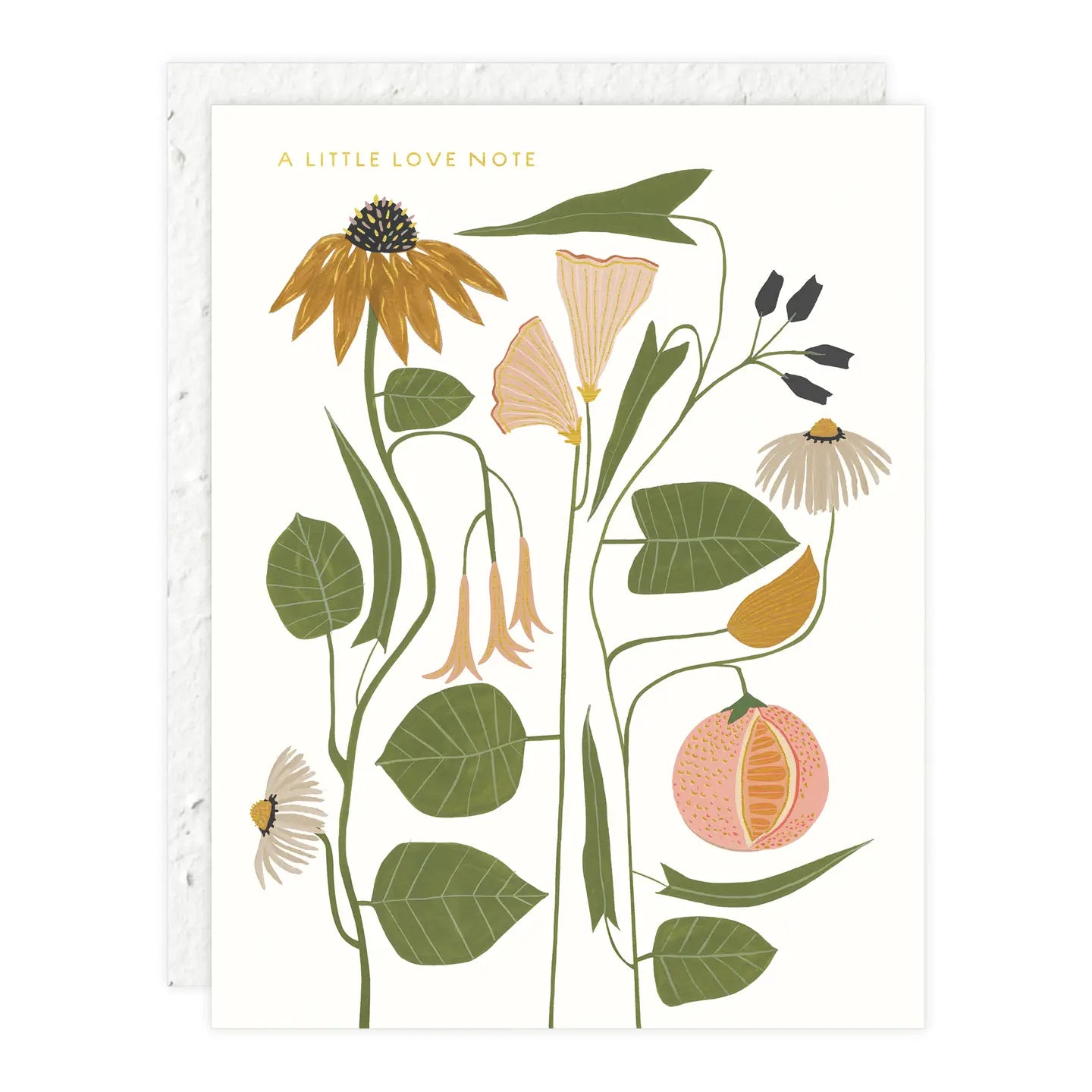 Seedlings Greeting Cards - La Lovely Vintage 