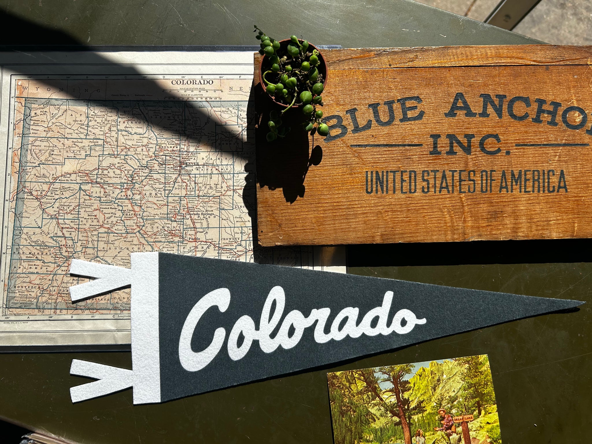 Benoit’s Design Co.