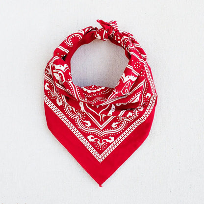 Abracadana - Cotton Bandana - La Lovely Vintage 