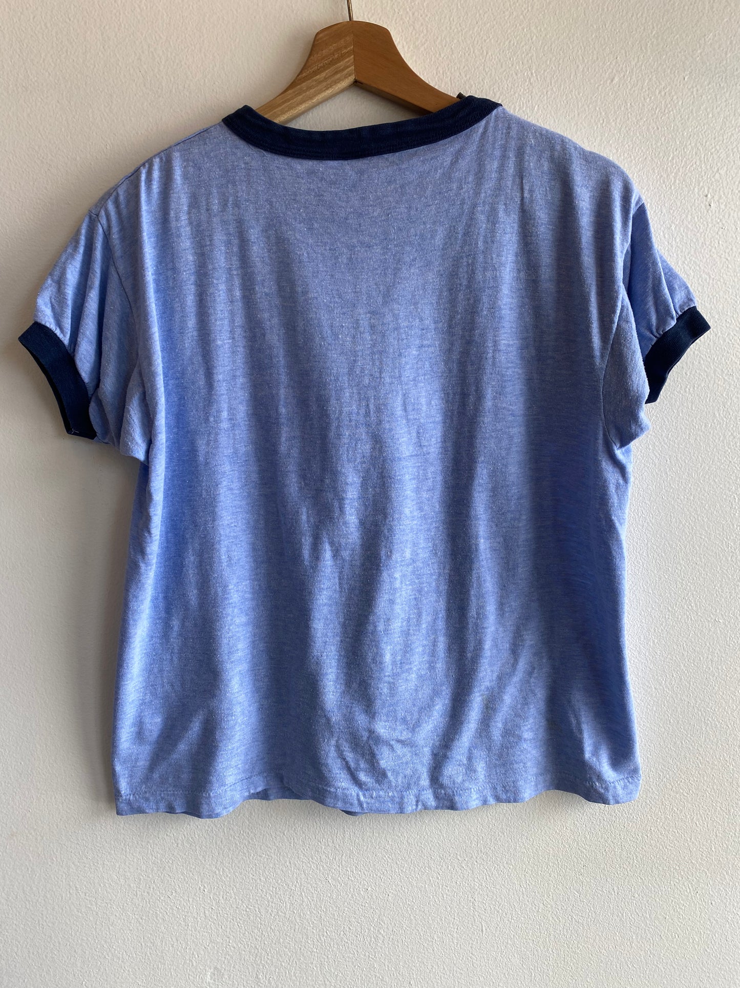 Vintage 1970’s Champion Illinois Ringer T-Shirt - La Lovely Vintage 