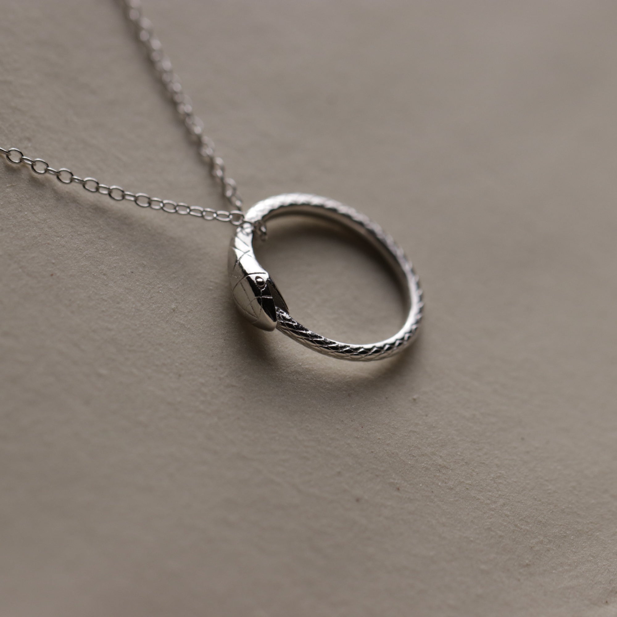 Snake Ouroboros Necklace - La Lovely