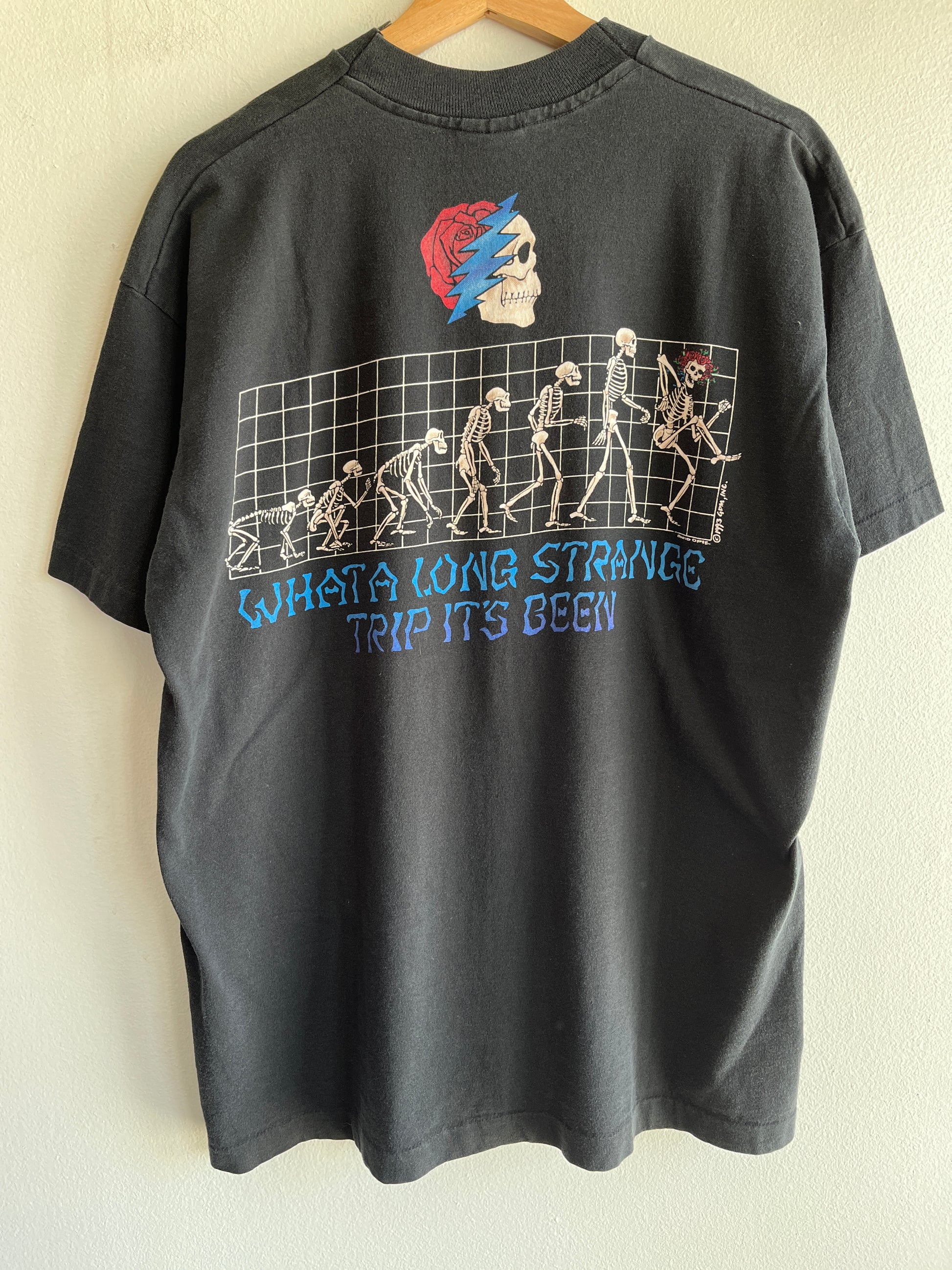 Vintage 1993 Grateful Dead “Evolution” T-Shirt - La Lovely Vintage 