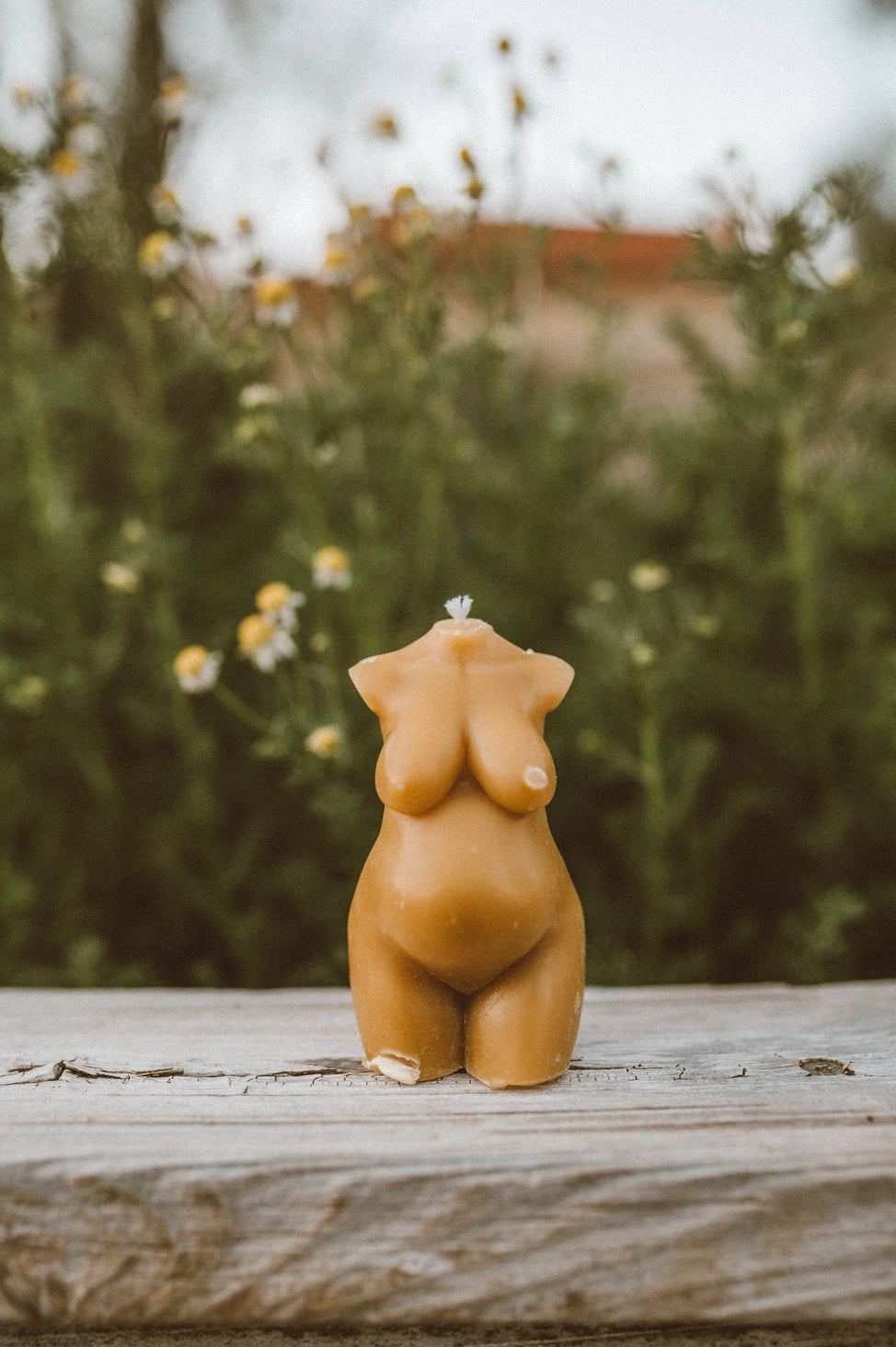 Mother Madre Bees - Fertile Mama Candle - La Lovely Vintage 