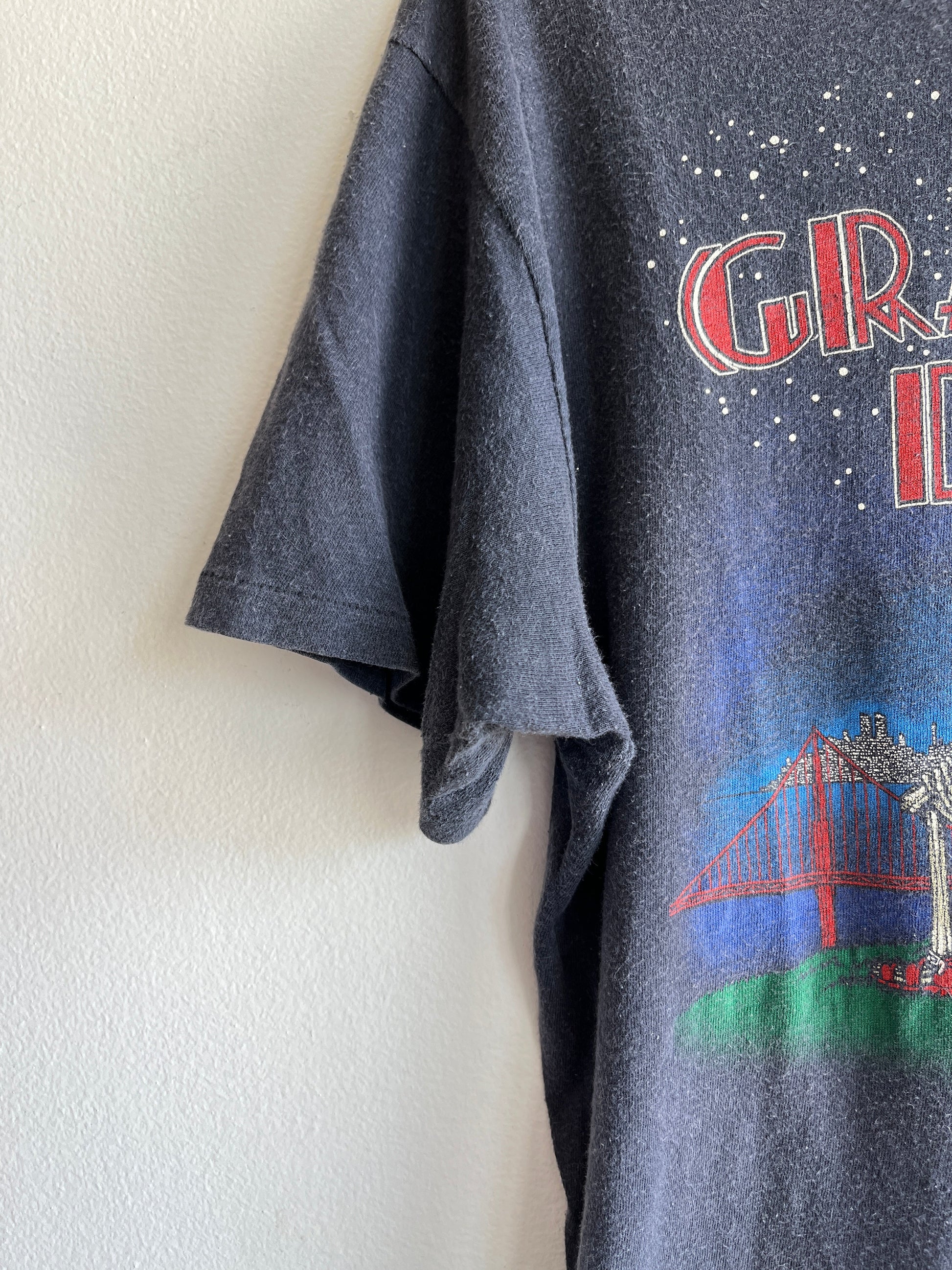 Vintage 1981 Grateful Dead “Golden Gate” T-Shirt - La Lovely Vintage 