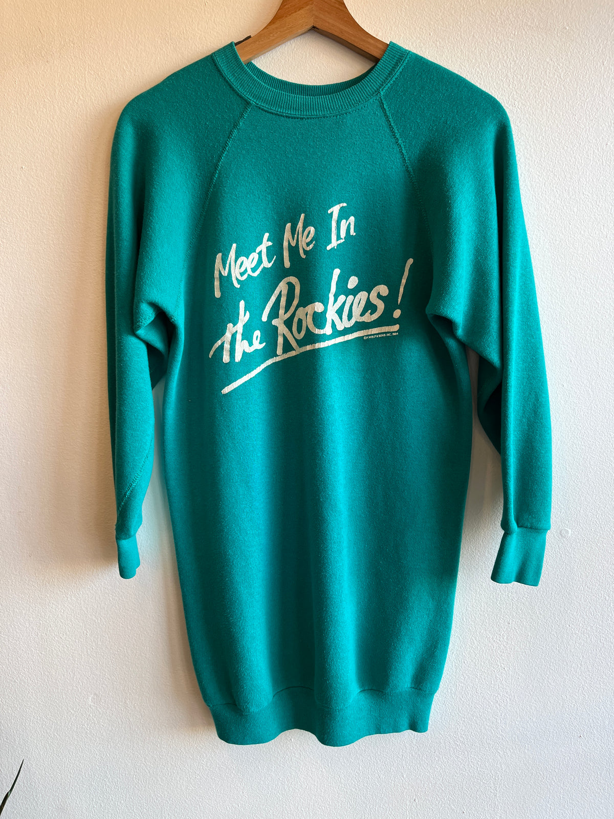 Vintage 1984 “Meet Me in the Rockies” Sleep Sweatshirt - La Lovely Vintage 