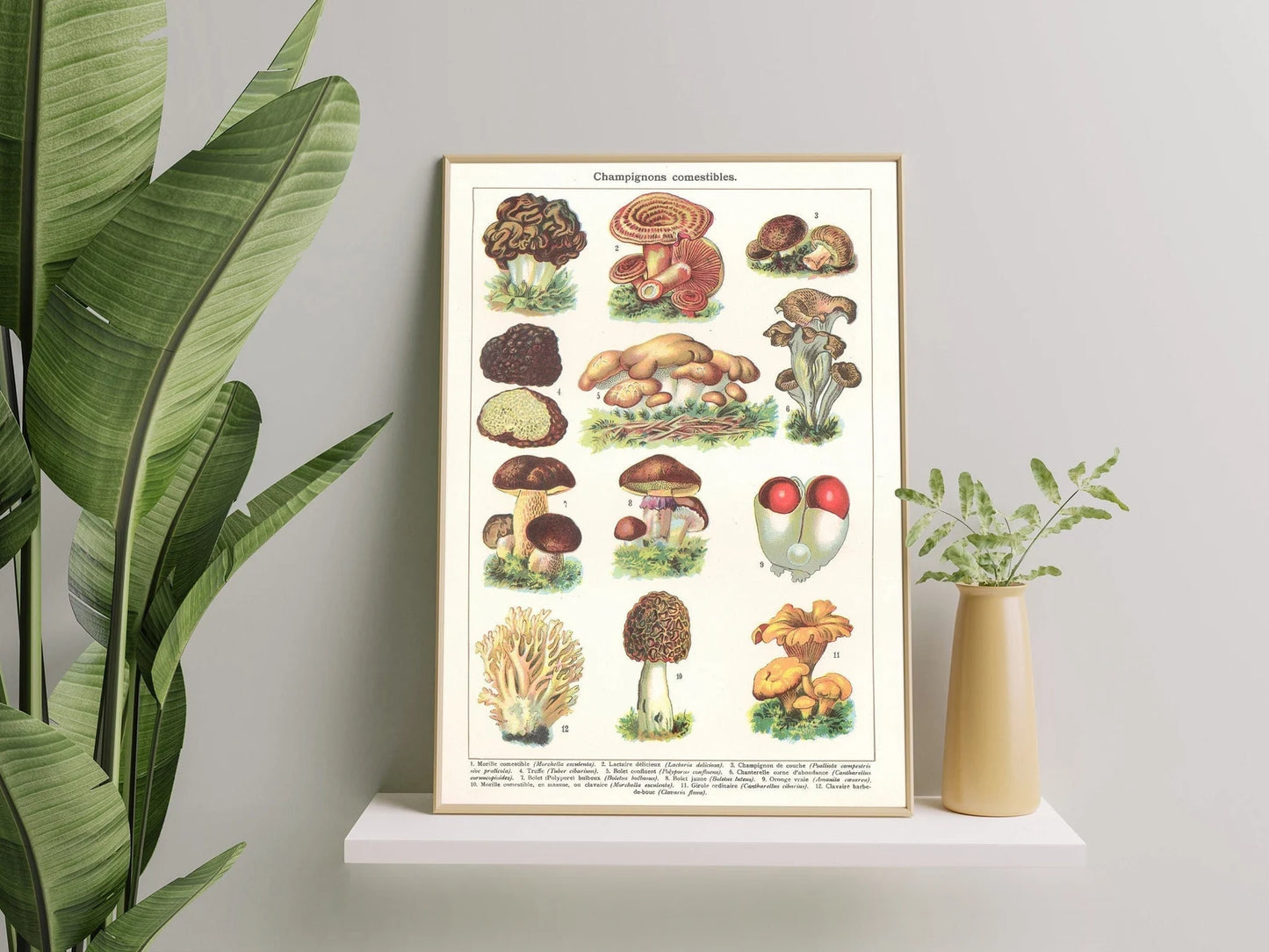 Ink & Sons - Print - La Lovely Vintage 