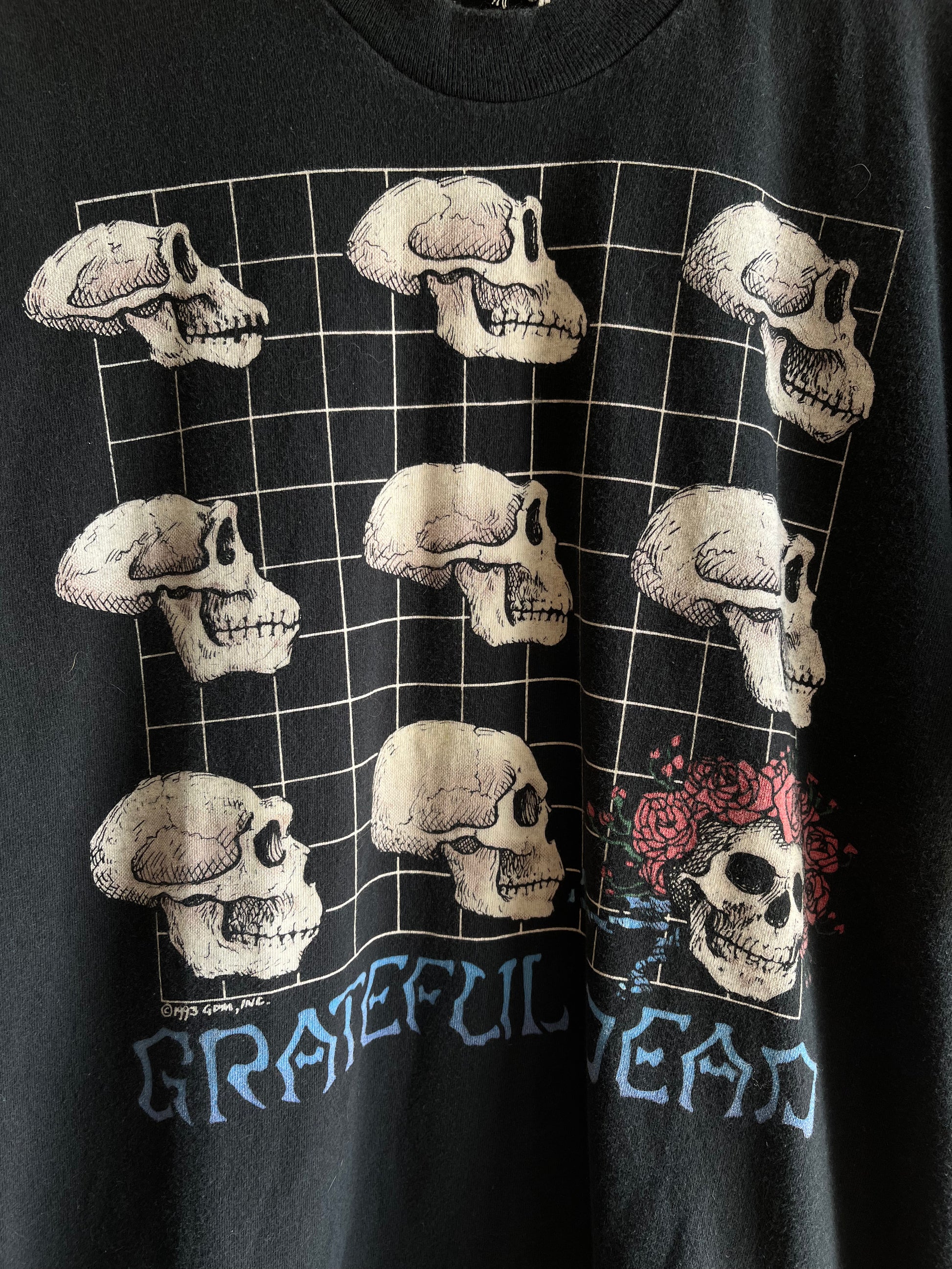 Authentic Vintage 1993 Grateful Dead “Evolution” T-Shirt - La Lovely Vintage 