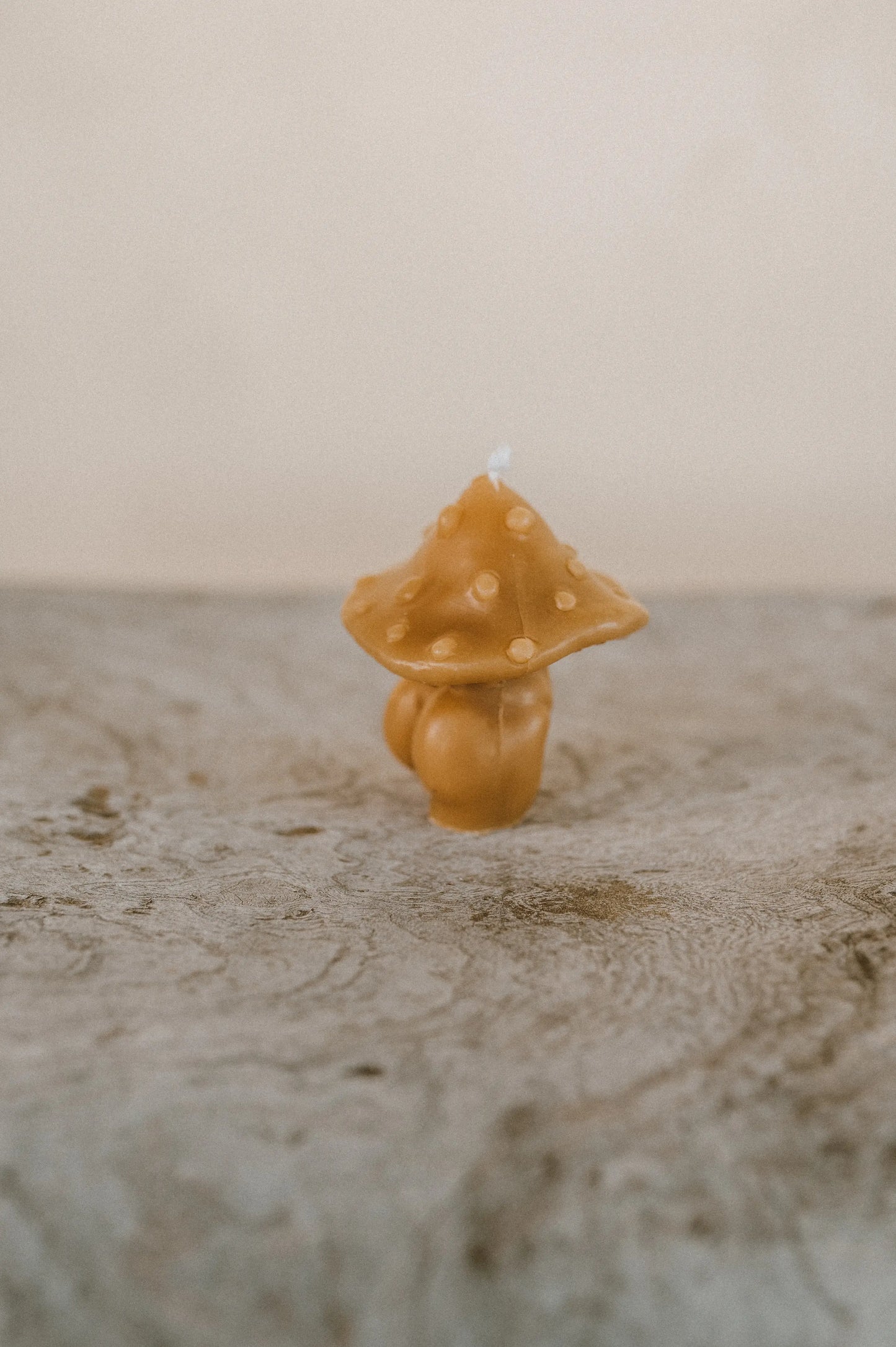 Mother Madre Bees - Sexy Mushroom Candle - La Lovely Vintage 