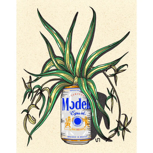 Howdy Studio - Prints - La Lovely Vintage 