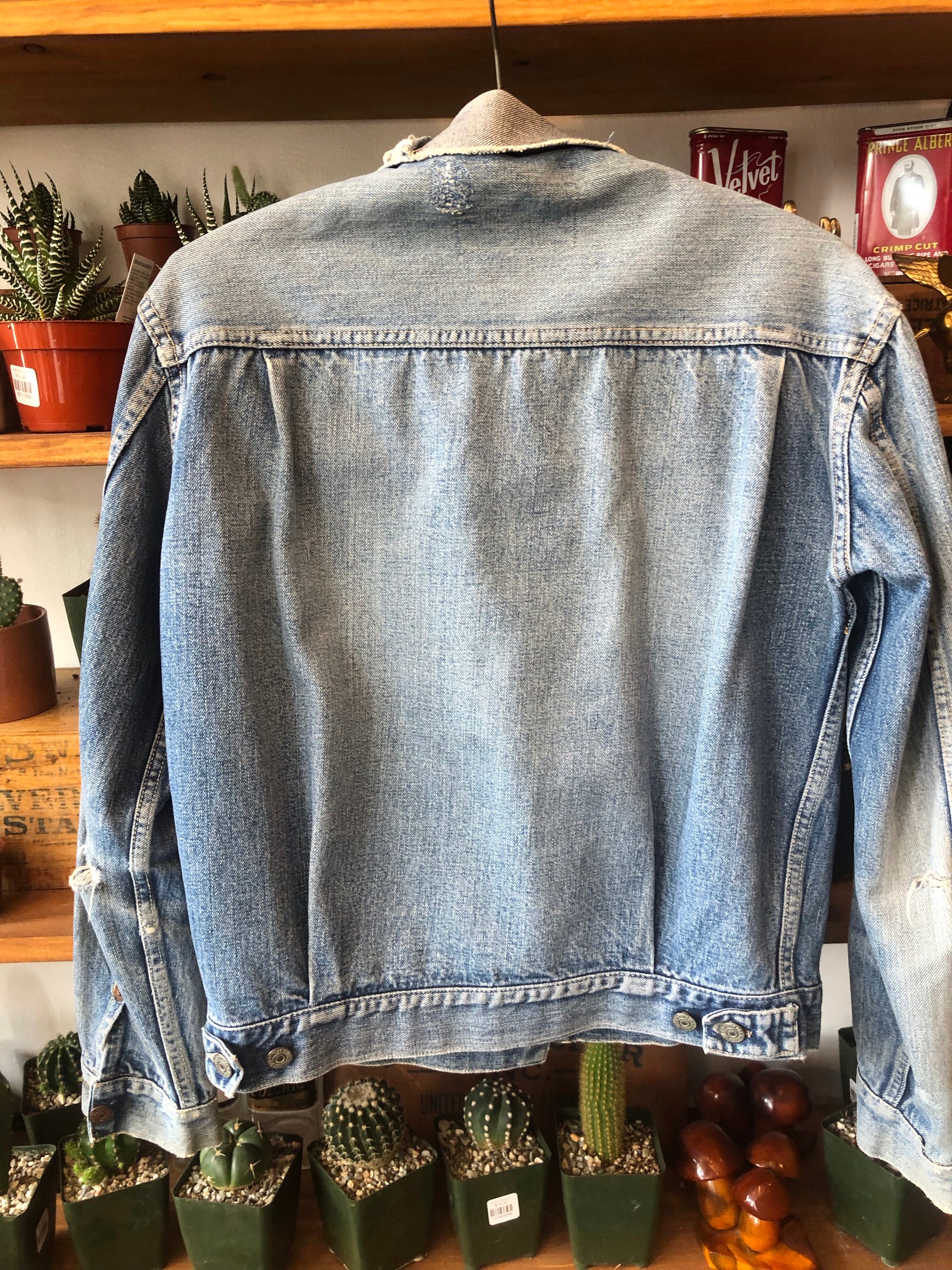 image_61459a86-f210-4f5e-bfb9-