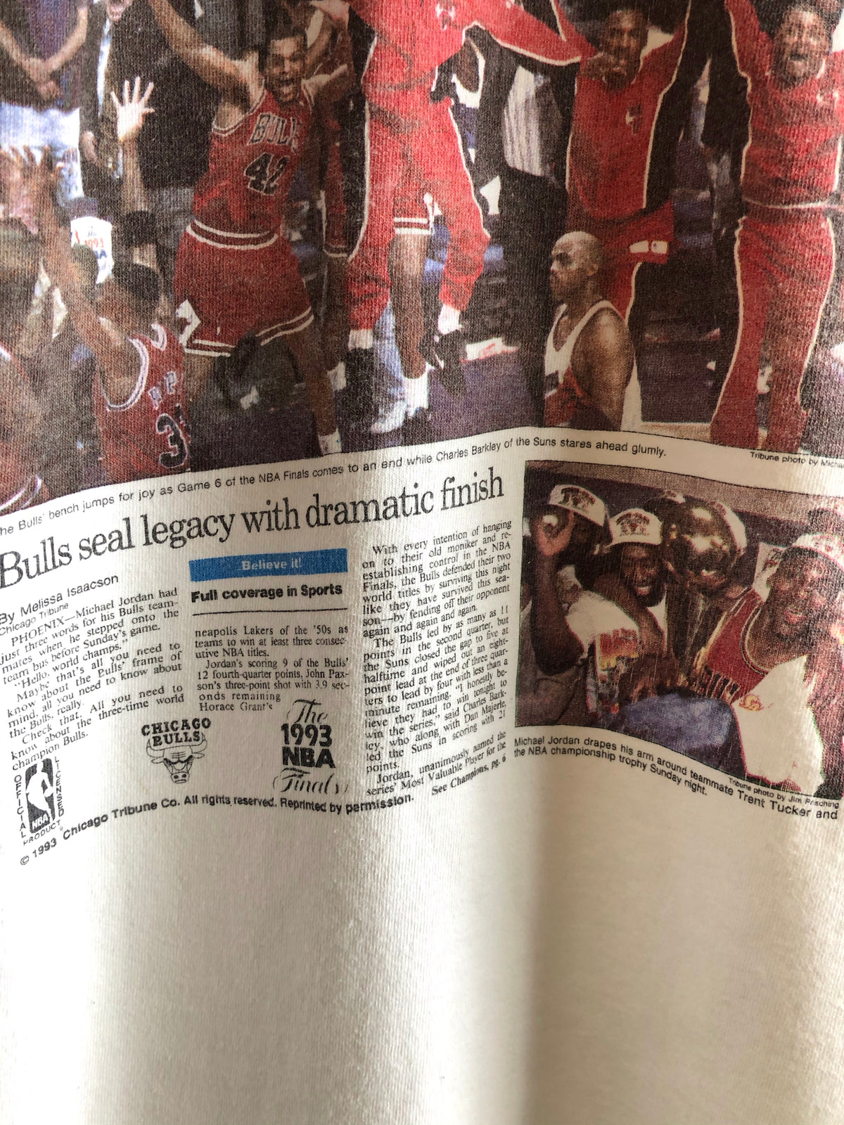 Vintage 1993 Chicago Bulls Championship T-Shirt - La Lovely Vintage 