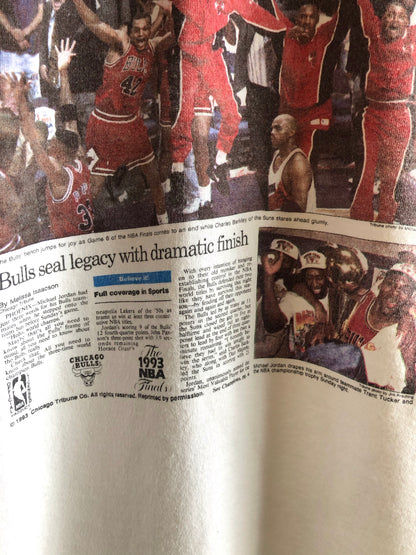 Vintage 1993 Chicago Bulls Championship T-Shirt - La Lovely Vintage 