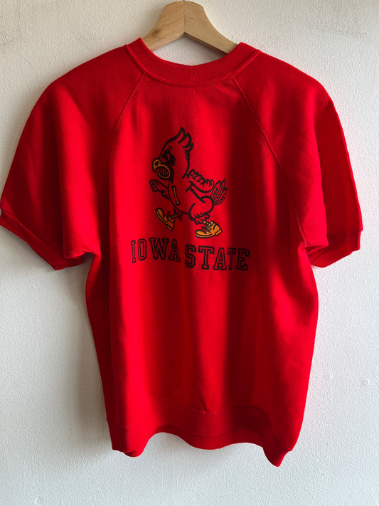 Vintage 1970’s Iowa State Sweatshirt - La Lovely Vintage 