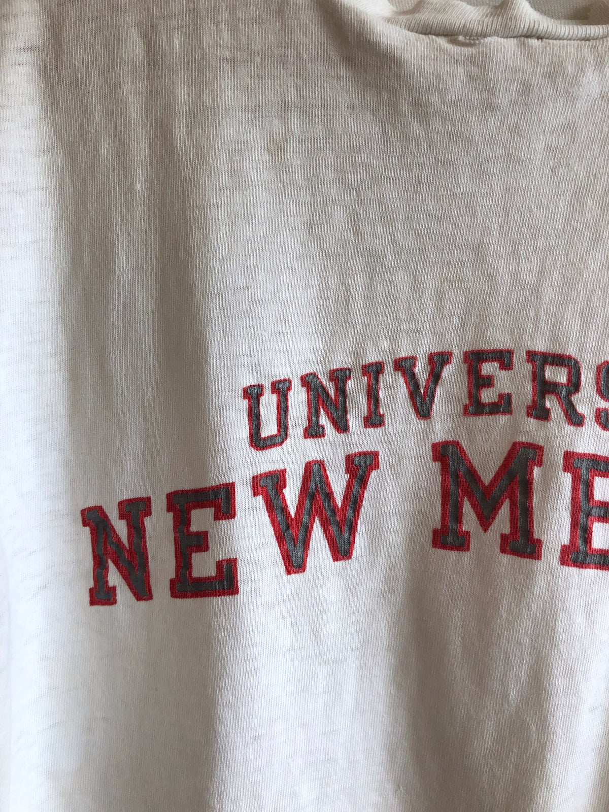 Vintage 1970’s University of New Mexico Champion “Blue Bar” T-Shirt - La Lovely Vintage 
