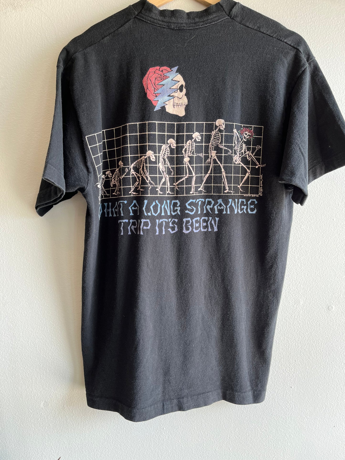 Authentic Vintage 1993 Grateful Dead “Evolution” T-Shirt - La Lovely Vintage 