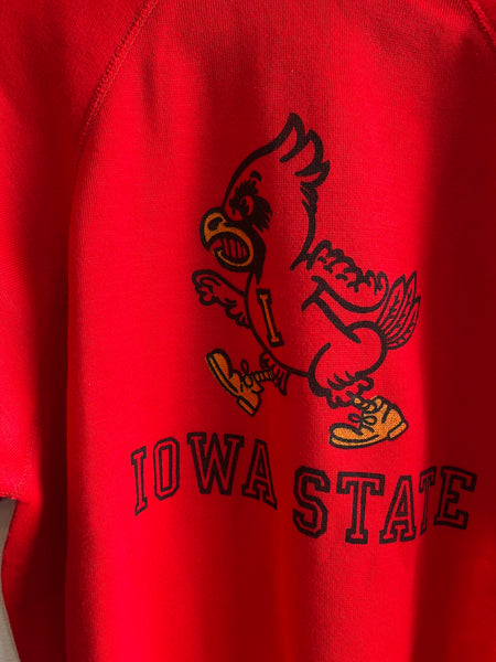 Vintage 1970’s Iowa State Sweatshirt